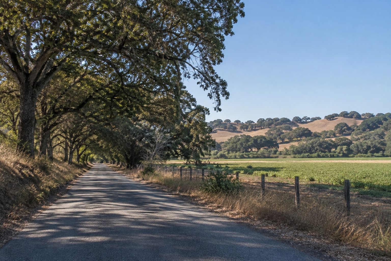 Prunedale, CA